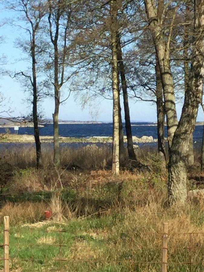 Havsstugan Villa Pukavik Kültér fotó